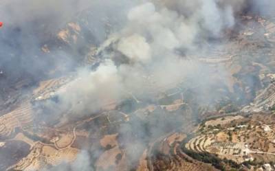 Пожар в регионе Пафоса чуть не добрался до жилых районов