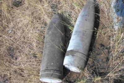 В Смоленской области нашли и уничтожили 3 артснаряда времен ВОВ