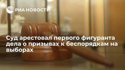 Суд в Москве арестовал первого фигуранта дела о призывах к беспорядкам в России на выборах