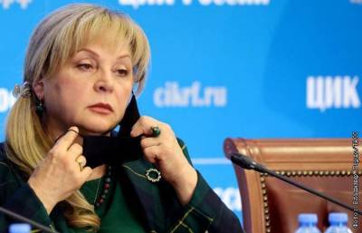 Памфилова потребовала наказать "организаторов безобразий" на выборах в Петербурге
