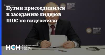 Владимир Путин - Путин присоединился к заседанию лидеров ШОС по видеосвязи - nsn.fm - Душанбе - Афганистан