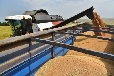 В Киеве объявили о критически низком уровне запасов зерна