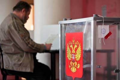 Международные наблюдатели проследят за ходом избирательной кампании в Ленобласти