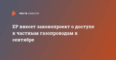 Андрей Турчак - ЕР внесет законопроект о доступе к частным газопроводам в сентябре - ren.tv - Россия