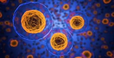 Ученые нашли способ получить «сверхчеловеческий» иммунитет от коронавируса