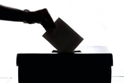 Центризбирком гарантировал тайну волеизъявления при удаленном голосовании