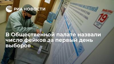 Александр Малькевич - Общественная палата: за первый день выборов выявили почти семь тысяч фейков - ria.ru - Москва - Россия