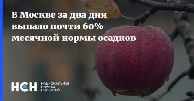 В Москве за два дня выпало почти 60% месячной нормы осадков