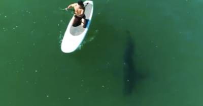 Полуобнаженный Орландо Блум прокатился на сапе с белой акулой