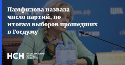 Памфилова назвала число партий, по итогам выборов прошедших в Госдуму