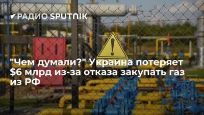 Президента Украины Зеленского назвали "идиотом" из-за цен на газ