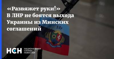 «Развяжет руки!» В ЛНР не боятся выхода Украины из Минских соглашений