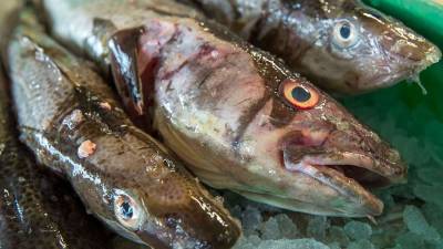 В Литве заявили об обеспокоенности рыбным промыслом России в Балтийском море
