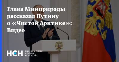Глава Минприроды рассказал Путину о «Чистой Арктике»: Видео