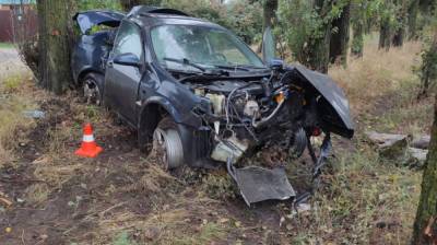 В Воронеже Nissan вылетел с дороги в тополиную аллею: ранена женщина