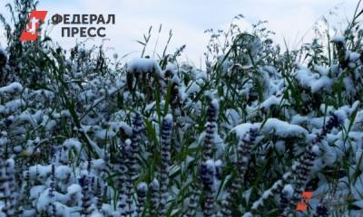 В Челябинской области ожидаются грозы и мокрый снег