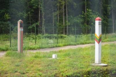 Два незаконных мигранта в Литве осуждены за незаконное пересечение границы (СМИ)