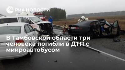 МВД: в Тамбовской области три человека погибли в ДТП с микроавтобусом