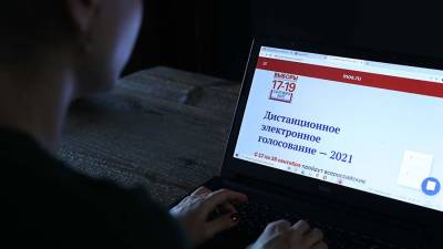 Политолог Куртов назвал электронное голосование работоспособной технологией