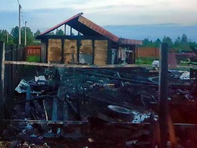 В Смоленской области в пожаре сгорело 100 кур
