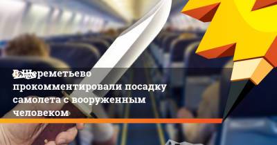 В Шереметьево прокомментировали посадку самолета с вооруженным человеком