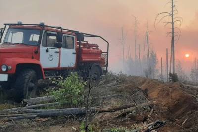 Greenpeace: 2021 год обновил рекорд по площади лесных пожаров в России