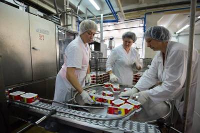 Столичный завод плавленых сыров расширит производство в регионы