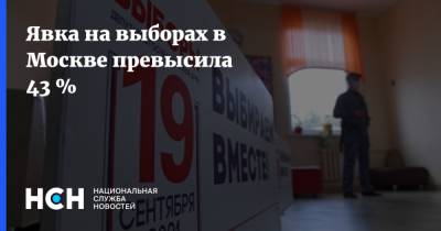Явка на выборах в Москве превысила 43 %