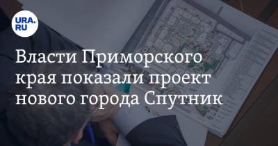 Власти Приморского края показали проект нового города Спутник