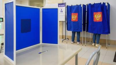 У избирательного участка на Литейном задержали женщину с фальшивыми бюллетенями