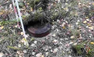 Житель Тюменской области нашел противотанковую мину у себя во дворе