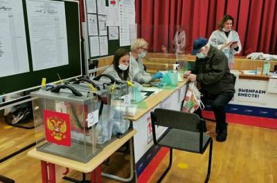 Наблюдатели от СНГ положительно оценили нововведения на выборах в России