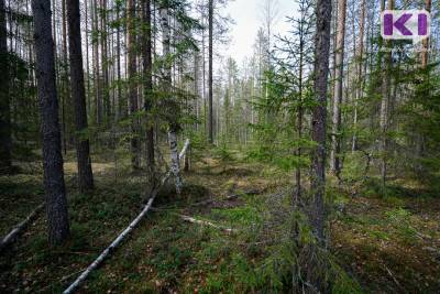 В лесу Троицко-Печорского районе жестоко избили девушку, от травм она скончалась