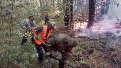 В Башкирии сгорело ещё 6 га леса
