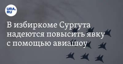 В избиркоме Сургута надеются повысить явку с помощью авиашоу