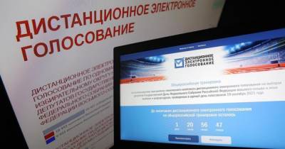 В сети показали, как жители ОРДЛО "голосуют" в Интернете за партию Путина (ВИДЕО)