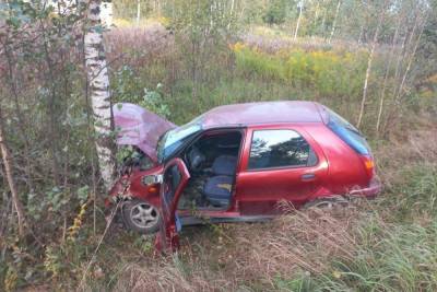 Пассажир «Фиата» пострадал после столкновения с деревом в Псковском районе