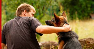 Давай поболтаем: 10 самых разговорчивых пород собак назвали эксперты