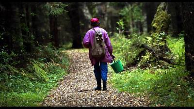Поиски пропавшей в смоленском лесу женщины закончились трагически
