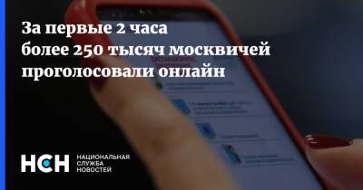 За первые 2 часа более 250 тысяч москвичей проголосовали онлайн