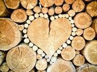 Принятие законопроекта о рынке древесины будет способствовать восстановлению лесов и прозрачности на рынках как в Украине, так и в ЕС — Стефанишина