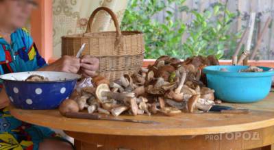 В скорую помощь обратилось 13 жителей Чувашии, которые поели грибов