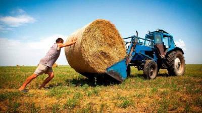 Семейным фермерским хозяйствам выплатили около 400 тыс грн компенсаций