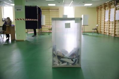 В Петербурге на выборы пришло более 30% избирателей