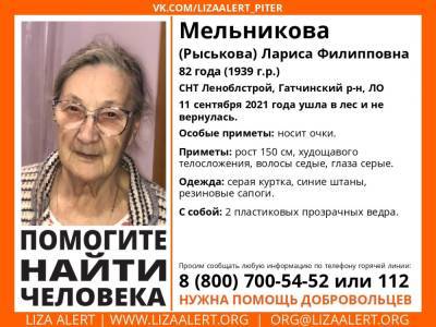 В Гатчинском районе без вести пропала 82-летняя женщина