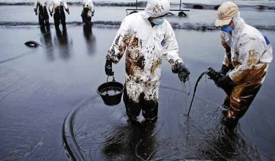 В Омской области возбудили дело о разливе нефти