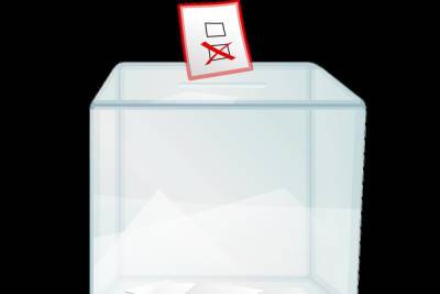 Кандидат от ЛДПР прошел в Госдуму счет голосов из Великобритании