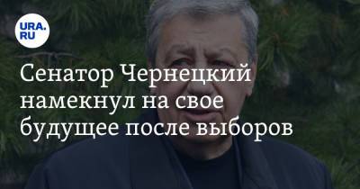 Сенатор Чернецкий намекнул на свое будущее после выборов