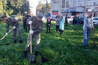 В Пензе высадили пятьдесят молодых саженцев деревьев