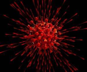Ученые выяснили, как коронавирус подавляет иммунитет